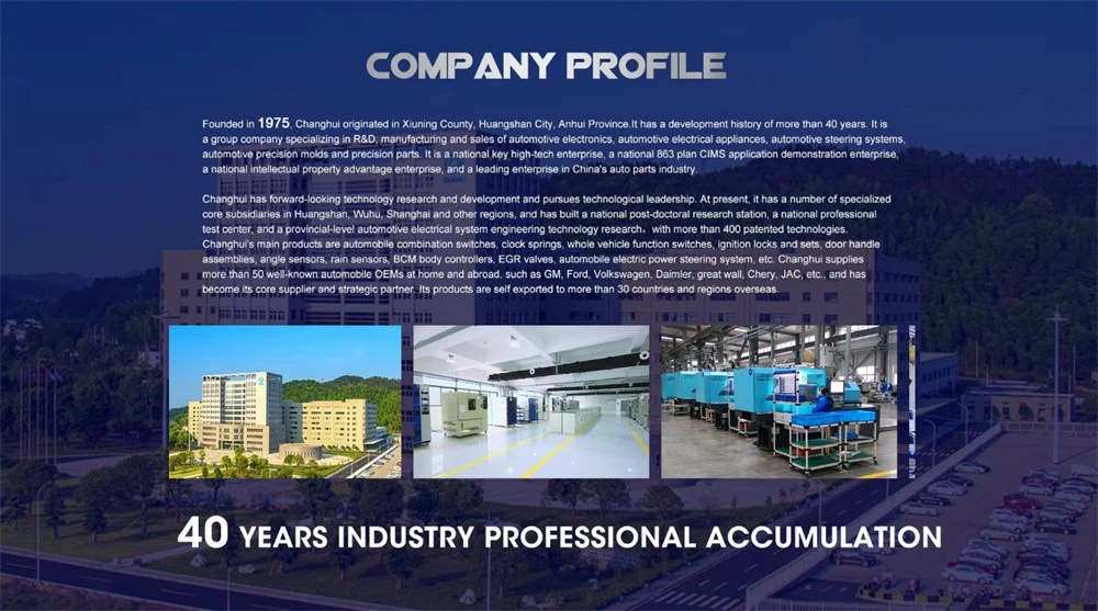 company profile